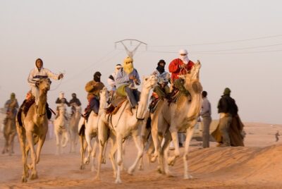 Camel racing sport of sheiks